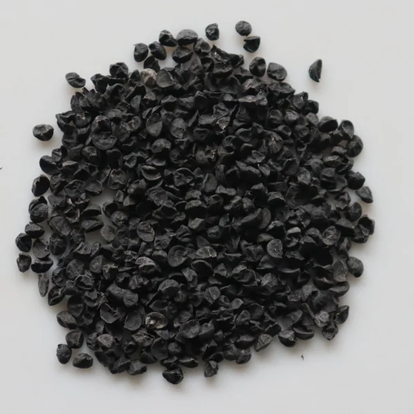 12_5dbf2ac9-ac78-42a3-8cb6-7bbd3b78b492