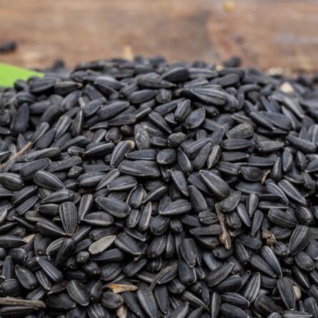 Sunflower Seeds - Image 2
