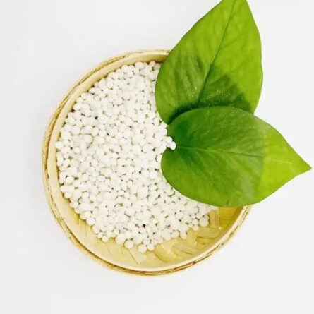 Calcium Nitrate Fertilizer - Image 3