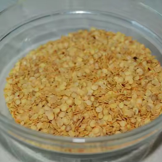 HTB107M3OVXXXXa2XFXXq6xXFXXXz.jpg_720x720q50