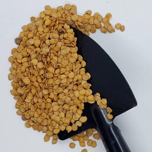 ThaiEggplant_1200x1200