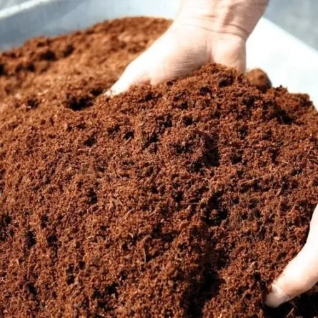 Coco Peat Fertilizer - Image 2