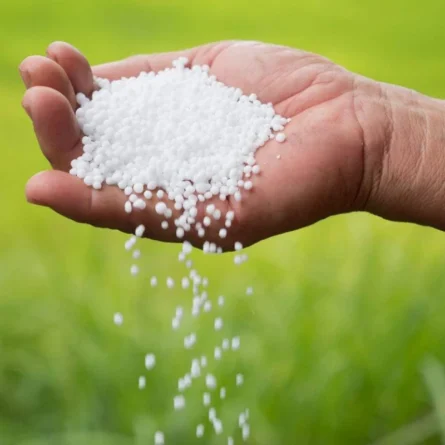 Nitrogen Fertilizer (Urea) - Image 3